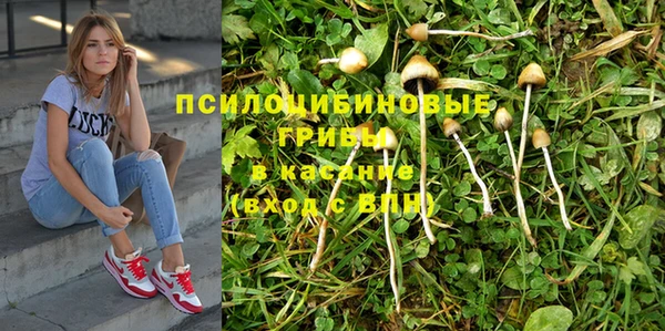каннабис Дмитровск