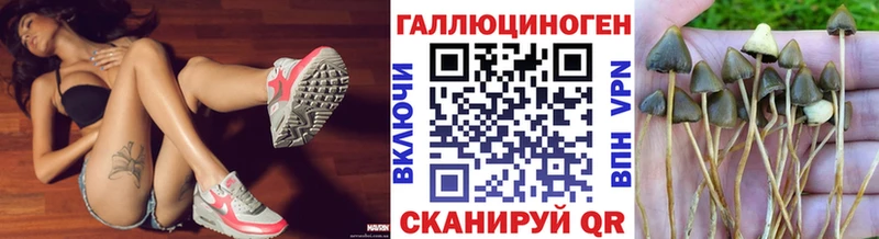 продажа наркотиков  Глазов  Галлюциногенные грибы прущие грибы 