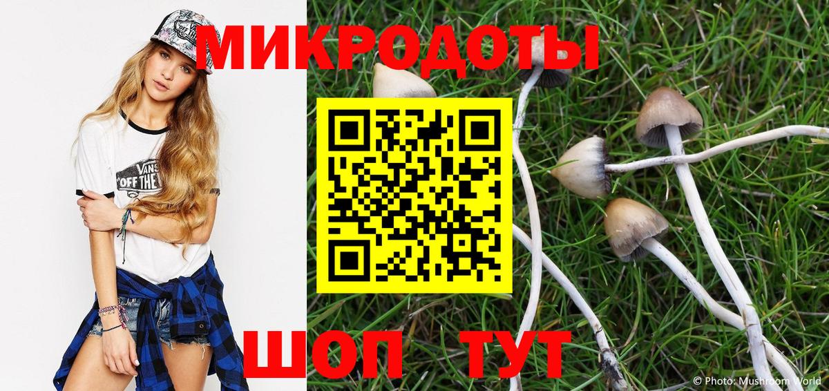Псилоцибиновые грибы мицелий Глазов
